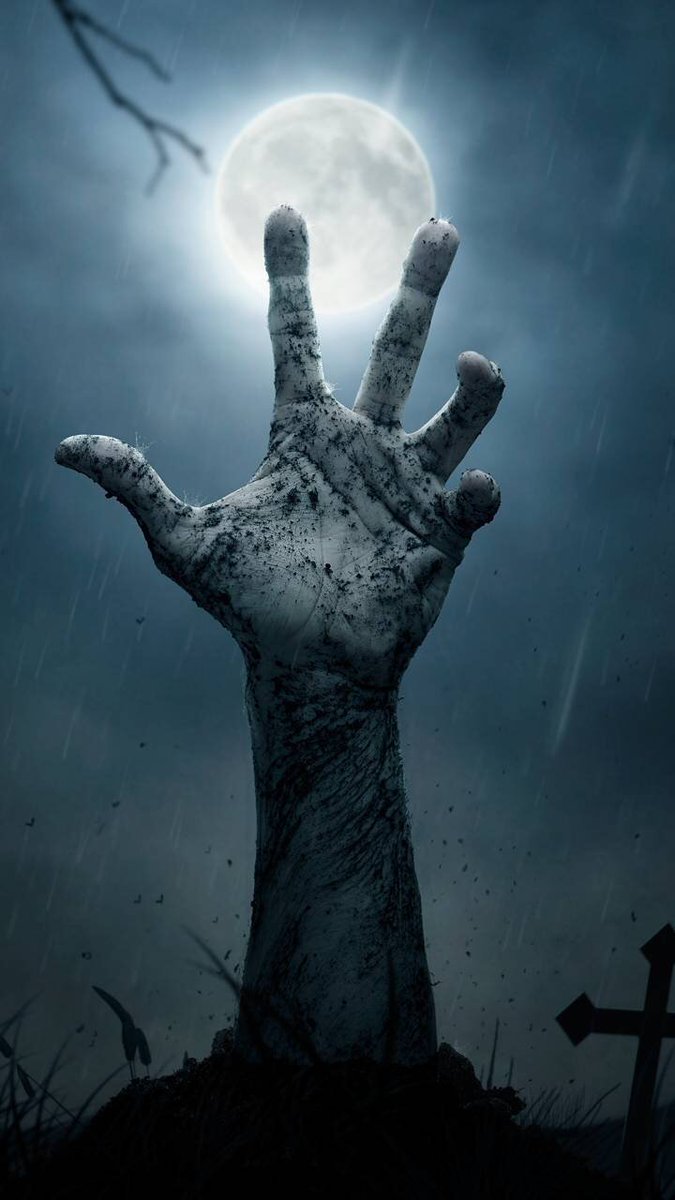 We'll rise from the aches and grow far beyond your imaginations....We will thrive in the hardest and harshest environments ...Because we are  #Black