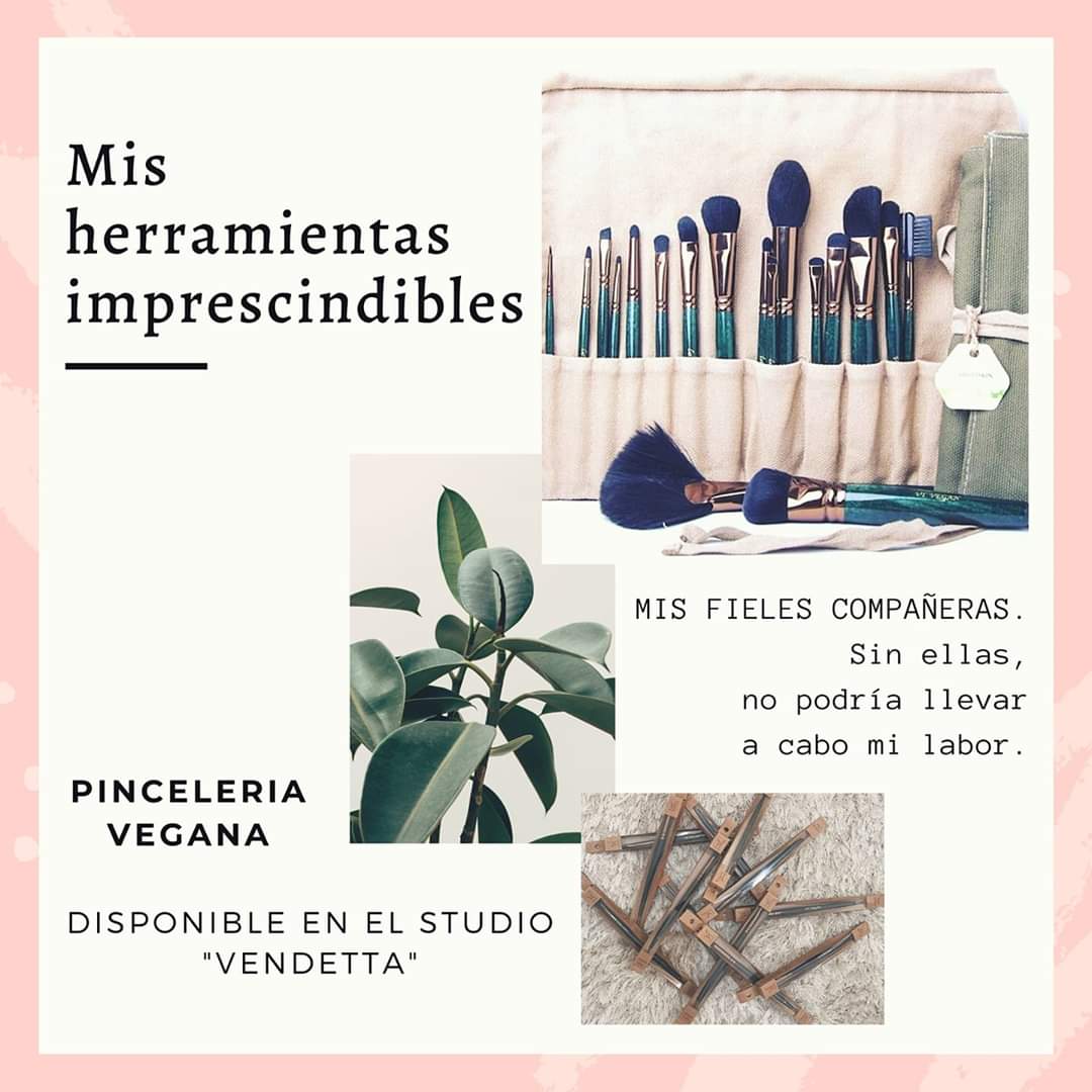 joanagarher's tweet photo. ✨🌱✨
Acaban de llegar y ya están listas para marcharse.
✨Para mi, son mis compañeras incondicionales, me acompañan allá a dónde vaya.
✨Las cuido, las mimo y, como no, les doy un tute que para qué 😅. https://t.co/IlPG8gQOwc