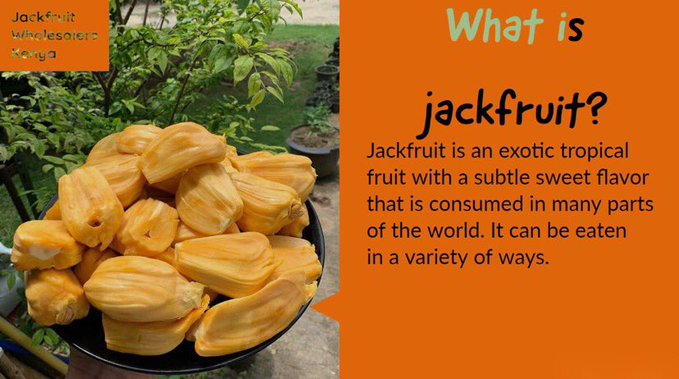 jackfruit_kenya's tweet photo. Know Jackfruit!

#HonAndakoLaudsUhuru
#MasculinitySaturday Happy Sabbath
#BombaLaSanaa  Sharon
Pole
4th of July
AM Live
Hang
Wolves
Jana
Ruto
Jail
Ministry of Health
May the Lord
Master
Ozil
#TheMorningAfter https://t.co/l7ZzbCgxCu