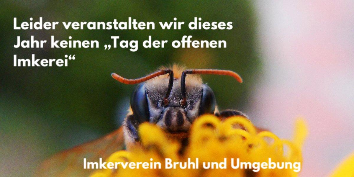Leider veranstalten wir dieses Jahr keinen „Tag der offenen Imkerei“