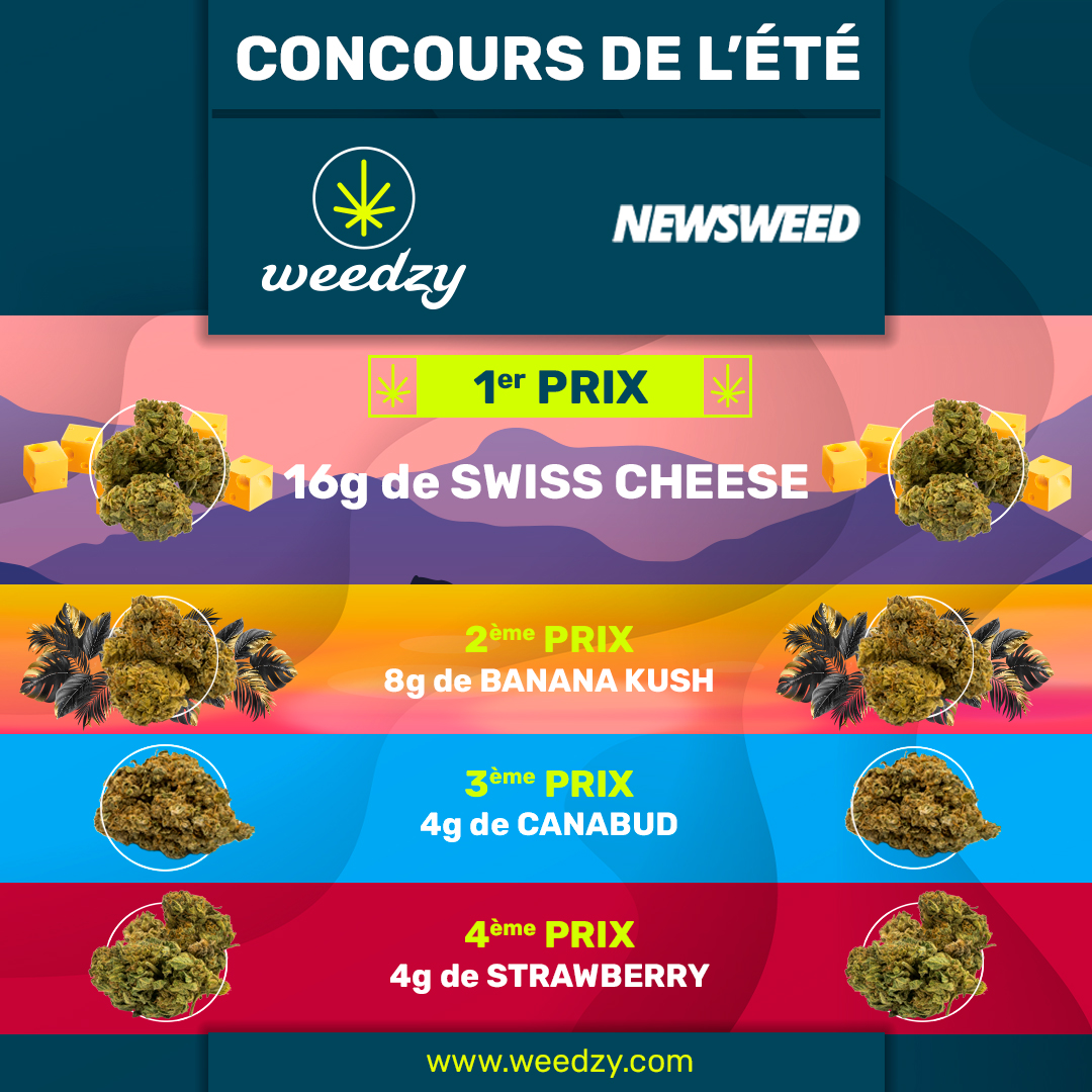 newsweedFR's tweet photo. [CONCOURS] Tentez de gagner 4 lots avec Weedzy !

1er prix : 16g de Swiss Cheese
2è prix : 8g de Banana Kush
3è prix : 4g de Canabud
4è prix : 4g de Strawberry

Pour participer, il suffit de :
1°/ Suivre @weedzyCBD
2°/ Liker ce post
3°/ taguer tes 2 meilleurs @ https://t.co/Gzuvd87ThX