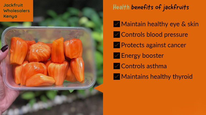 jackfruit_kenya's tweet photo. Benefits of Eating Jackfruits!

#Python
#HonAndakoLaudsUhuru
#MUFC
#AWiseGuyOnceToldMe
Aoko
Siaya
parody
Wolves
Ozil
#bombalasanaa
William Ruto
AM Live
#MasculinitySaturday
Nairobians
#Debarl
kisumu
#ClimateAction 
#Somalia
Muslim https://t.co/M5tMtXhJ3h