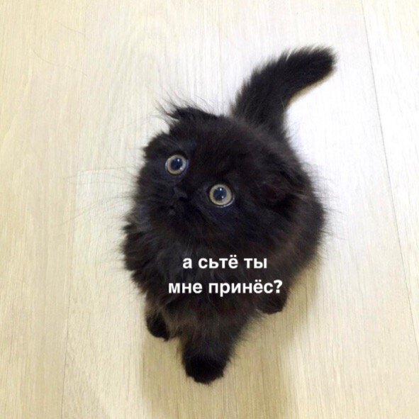 примерно так я выгляжу, когда услышала, что мама пришла из магазина: