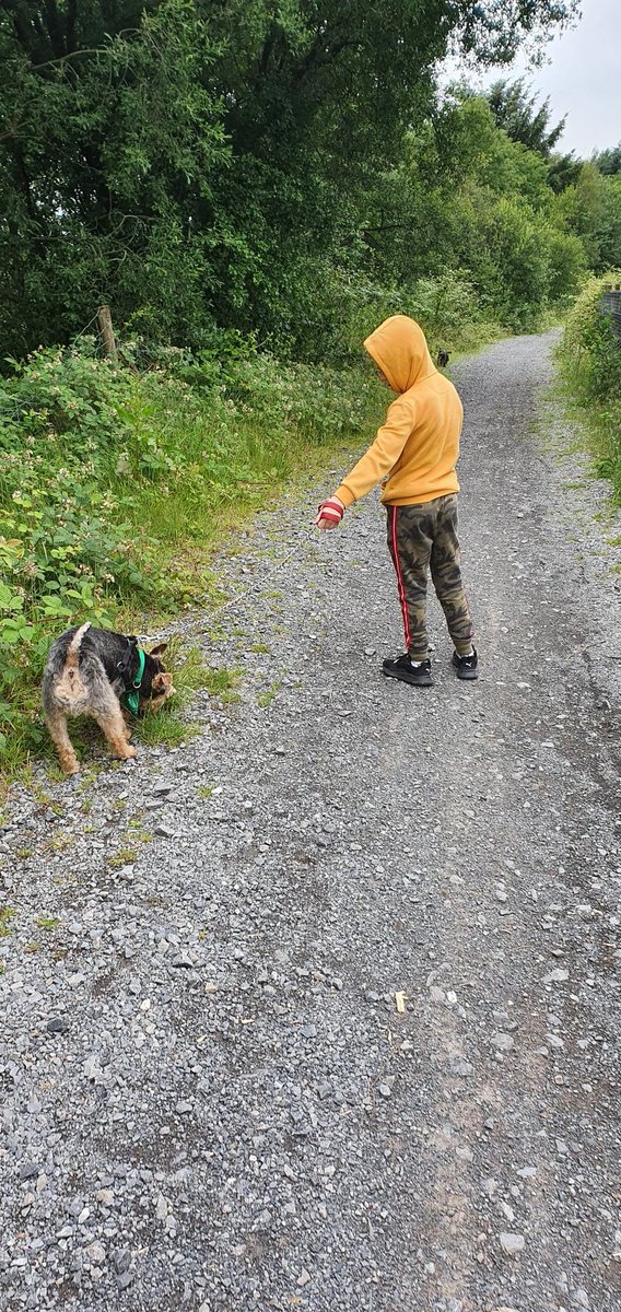 Kate06020820's tweet photo. @MrsPhil10445060 We went for walk before rain and while Tobie had lunch he watched maths made easier on laptop .. we couldnt do musical rain thing as used tube other day to make binoculars so will do when got one https://t.co/QRx6NlnIqc
