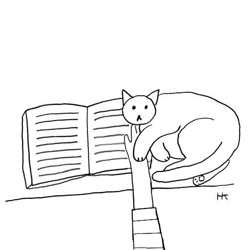 窓辺のはととねこちゃん重たい…。