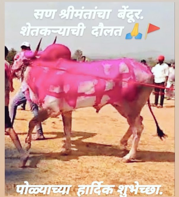 #बेंदूर 
#बैलपोळा 🚩🙏