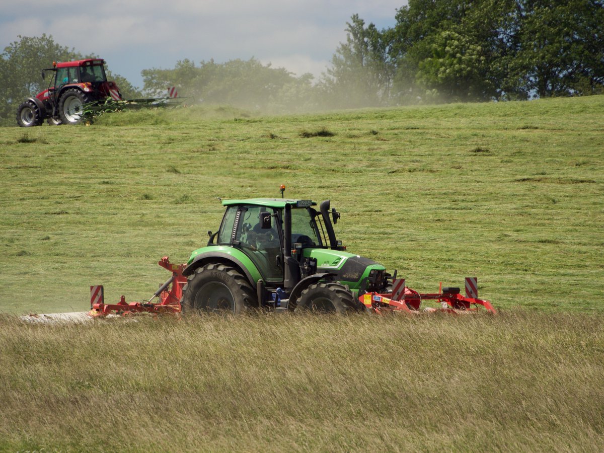 On arriving at the scene three tractors were rapidly mowing and tedding the field, pushing the wildlife into a final remaining patch