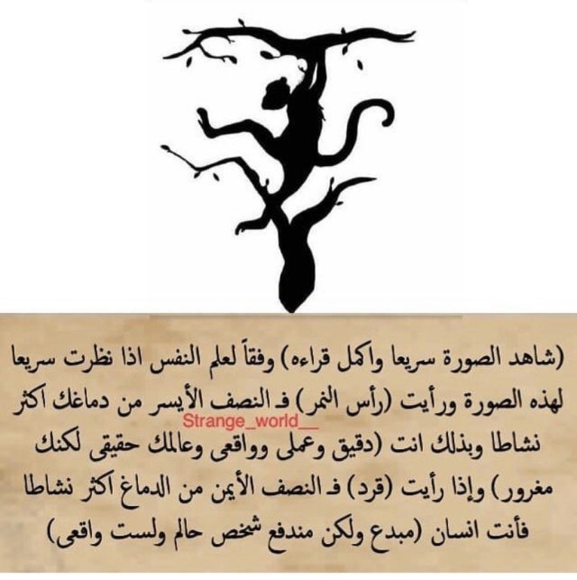 ommobarak110's tweet photo. معلومه جميله 😍 #الافنيوز_الوعد https://t.co/2YERFgB9tK