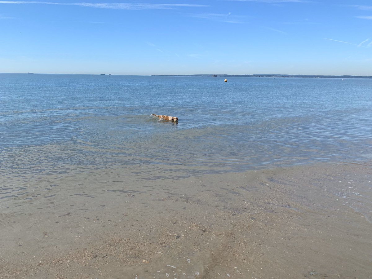 UOP_SCCJ_CFS's tweet photo. It’s a bit blowy outside here today  (image a) although sometimes its tropical (image b), but today it doesn’t matter because you can learn all about what we offer from the comfort of your own sofa #openday #Portsmouth2021 https://t.co/YiAwvpyFXO
