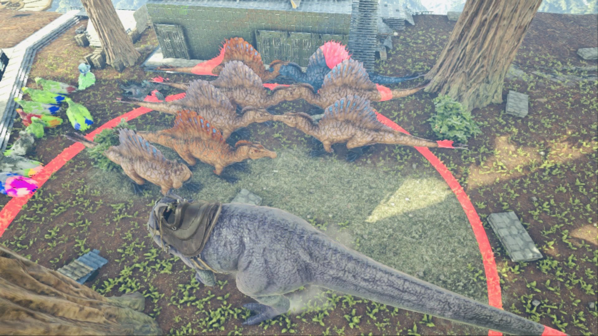 Wolf 里親募集 Ps4 Pve 私の 虫は殺せるのに恐竜は殺せない精神 によって管理できなくなったxスピノです ジェネシスが出たばかりに使う予定だった野生ステ 刷り込み100 です 左上の1匹はステ振り済み 拠点に来てもらう労力と持ち帰りモンボ持参を Wolf 里親募集 Ps4 Pve 私の 虫は殺せるのに恐竜は殺せない精神 によって管理できなくなったxスピノです ジェネシスが出たばかりに使う予定だった野生ステ 刷り込み100 です 左上の1匹はステ振り済み 拠点に来てもらう労力と持ち帰りモンボ持参を