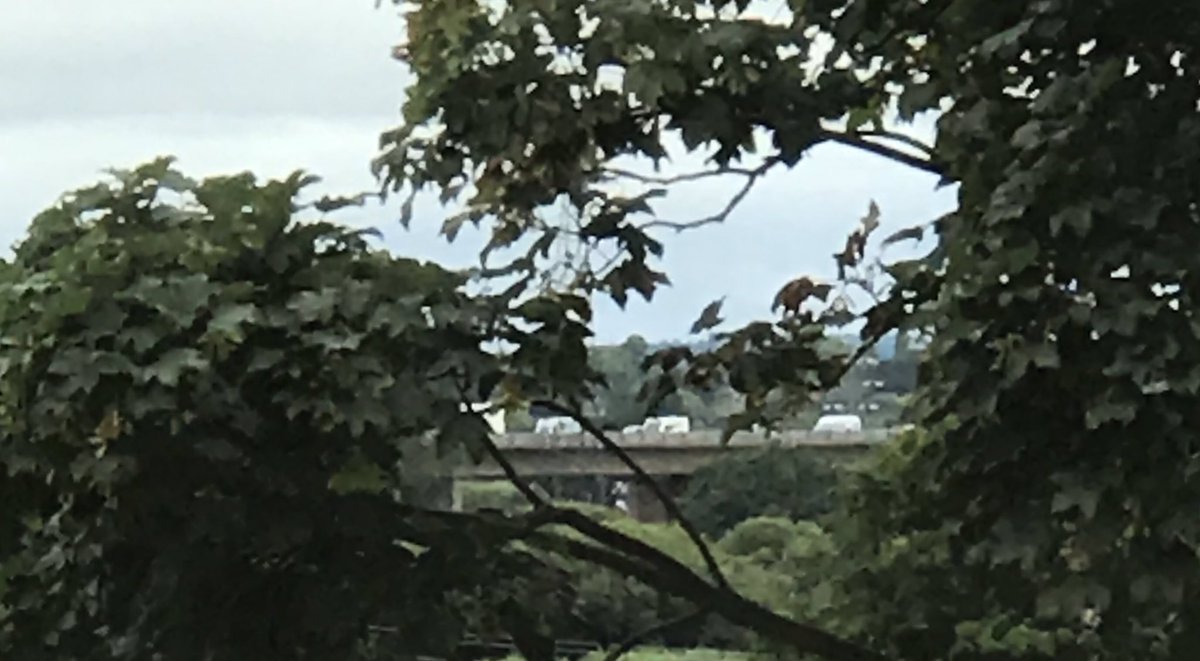 MrsBeeeeee's tweet photo. Genuinely concerned about the amount of people heading into Devon and Cornwall. The M5 at #Exeter is already backed up and every other vehicle is a caravan 😬 #4thJuly #SuperSpreaderSaturday https://t.co/LRwoRx9Eiv