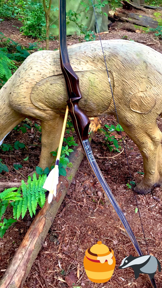 Bowmonkey (@archersreview) on Twitter photo 