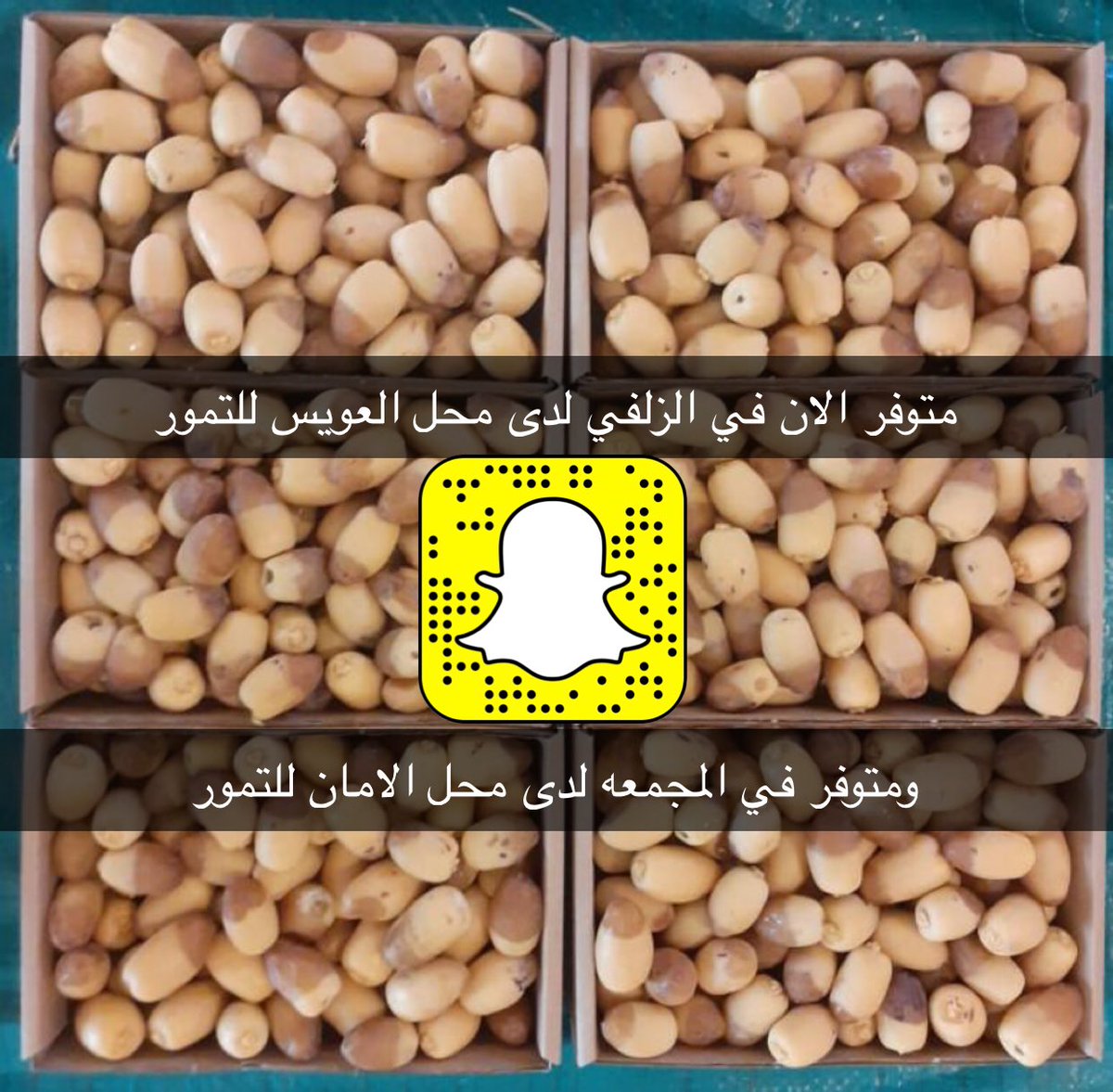 متوفر رطب الغر انتاج المزرعه  الان في المجمعه لدى محل الامان للتمور
وفي الزلفي لدى محل العويس للتمور