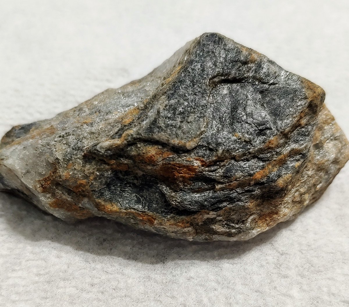 HalKScott's tweet image. 