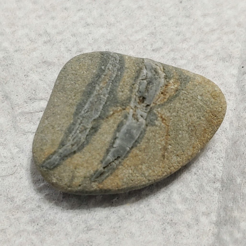 HalKScott's tweet image. 