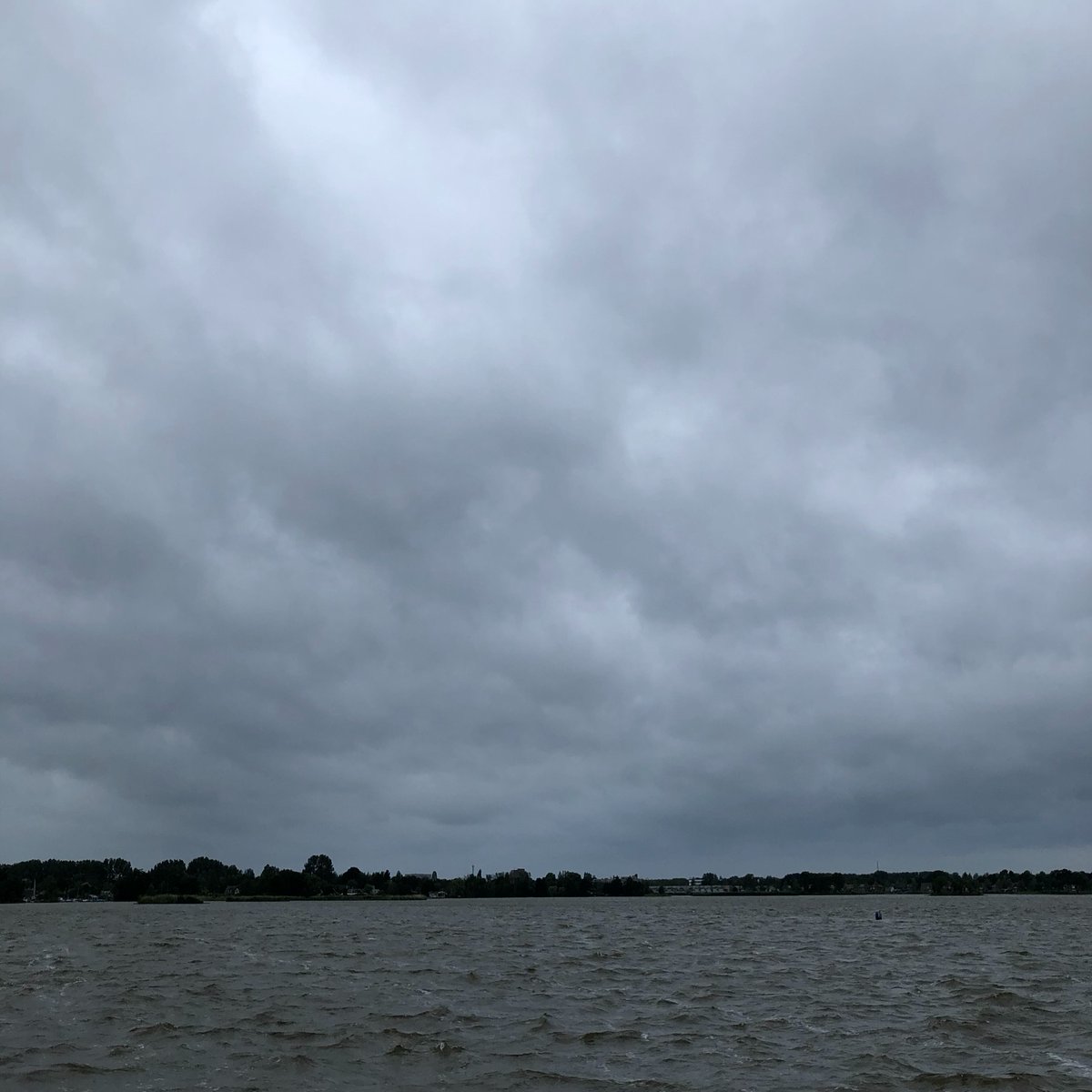SAGdeJong's tweet photo. Herfstig op 4 juli 2020 #goedemorgen #buitenmens #ochtendrondje #elfhoevenplas #reeuwijkseplassen #ree #reeuwijk #platteland #groenehart #santosha #adem #gewonebrunel #wildebertram https://t.co/bHcxRqkGY8