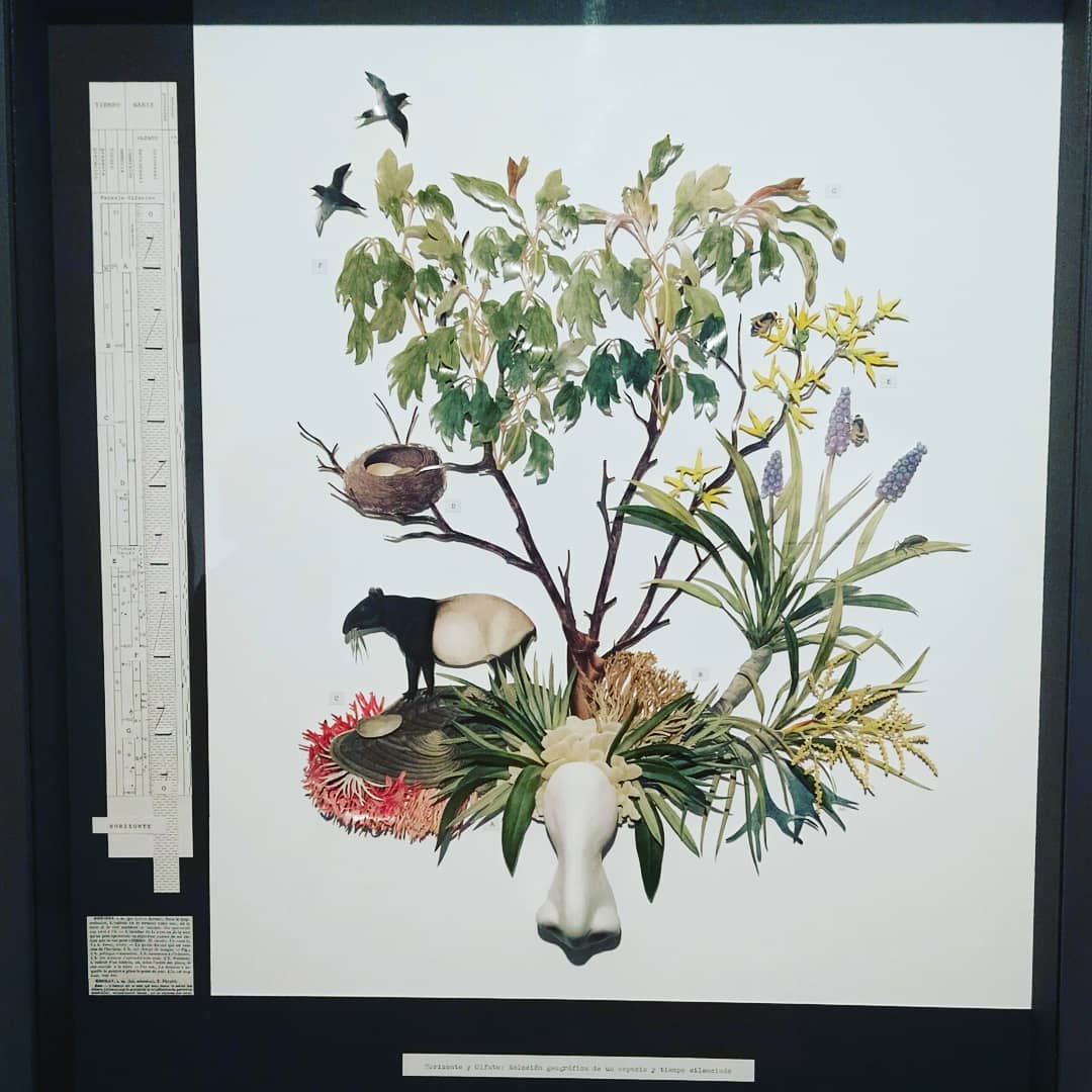 FErnestoVentos's tweet photo. Felices el II Premio Internacional NASEVO entregado a Marta de los Pájaros ayer en #calantiga. ¡Esta obra huele! Gracias a todosblos concursantes por su participación.
#aprenderaoleratravesdelarte #nasevo #olorvisual #nariz #ErnestoVentos #Lucta #arte #cultura #sentitsteia https://t.co/JWDkPbysia