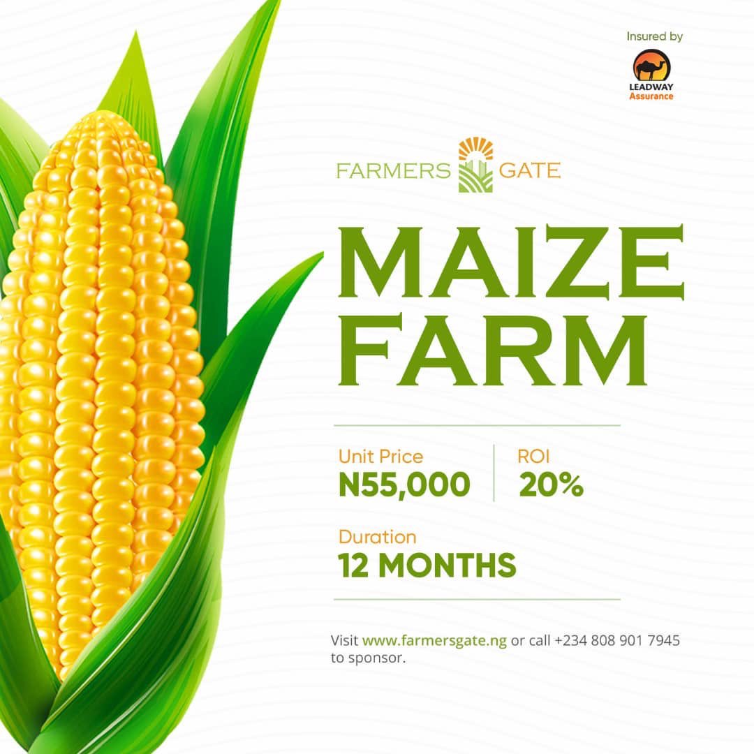 Mjayjay_'s tweet photo. What’s stopping you from investing with @Farmers__Gate ? With as low as 55,000, you can own your own farm. 
click  https://t.co/31e6jls2WQ… to invest in their packages #FarmersGate https://t.co/wcPBvK4KaU