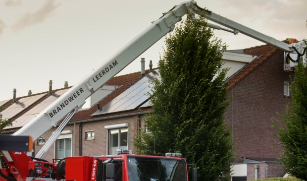 Zwaluw gered door brandweer -..