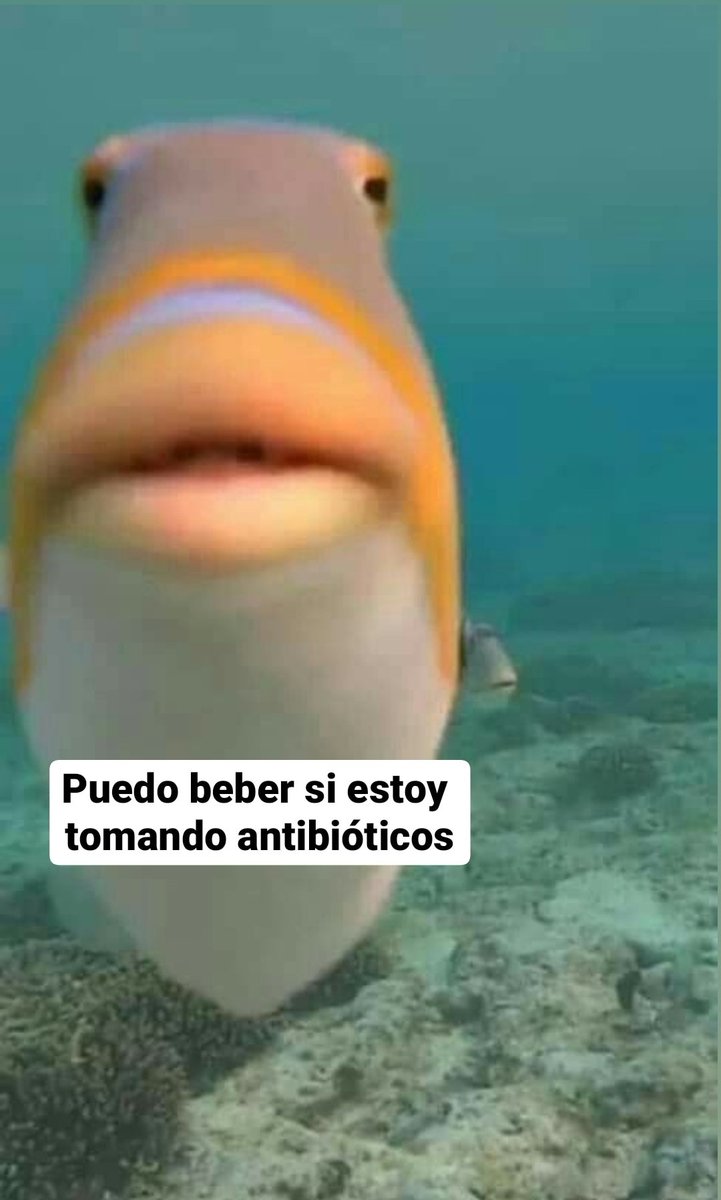 mccortes95's tweet photo. Mis amigos desde que me pusieron la primera diapositiva de anatomía en primero: https://t.co/4PoK4pj7CN
