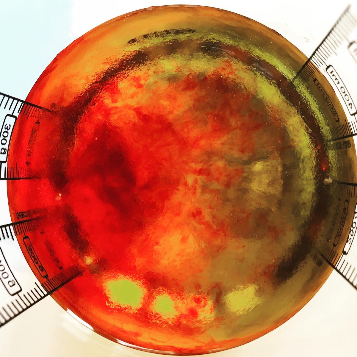 ravenbotanicals's tweet image. Thrilled to launch our gorgeous #skinsaviour #facial oil, yesterday! Sublime nourishment, plant based and cruelty-free. 🌱 #naturalskincare #cleanbeauty #eastlothian #scottishborders #ravenbotanicals #jointheconspiracy