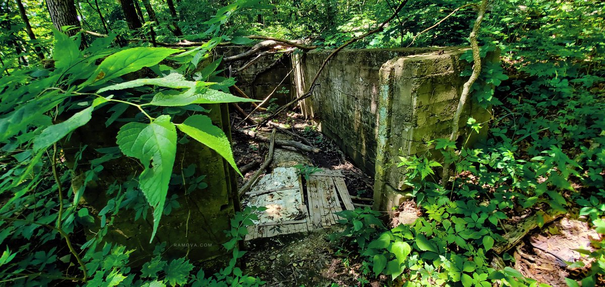 ramova's tweet photo. Scouting for new film location.

#ramova #redvolvercinema #scoutlocation #scouting #film #chicagofilm #chicagofilmmaker #vietnamwar #shortfilm #indiefilm #bunker #jungle #drama https://t.co/AA1OCF7AnK