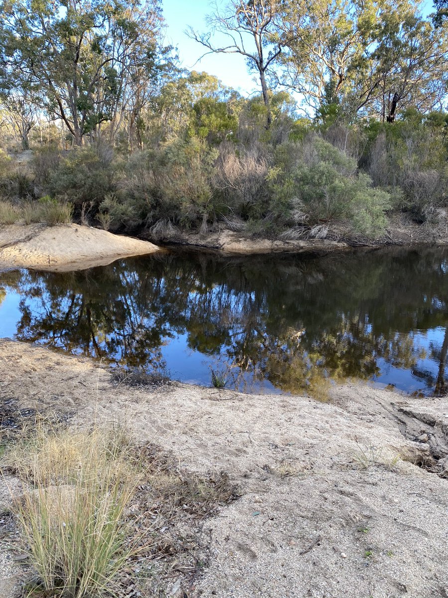 sandeemc's tweet photo. #thisisqueensland https://t.co/KhAE1EQS8u
