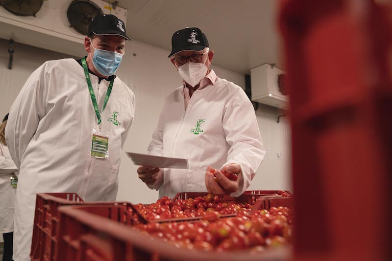 REVISTAFYH's tweet photo. Grupo @DIA_Esp aumenta en 40% la compra de #tomate cherry redondo, pera y rama de .@GrupoLCA durante la #pandemia #hortalizas #Saludablemente #visita #tomatecherryredondo #tomatecherrypera #tomatecherry #tomatecherryrama https://t.co/QV4PGrrd36