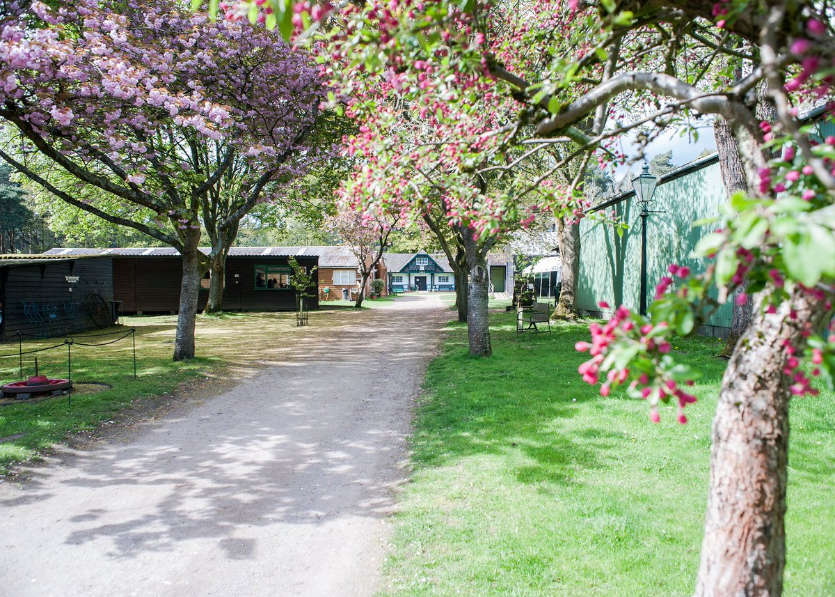 rurallifelm's tweet image. We have some good news, we hope to be opening again soon. If you would like to visit, you will need to book a ticket as we are implementing social distancing measures to keep visitors safe. Watch this space for details on how to get your ticket. We hope to see you all very soon.