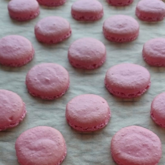 LPaGFoodie's tweet photo. Coming to our French Classics class? You might want to use this piping stencil to evenly space your macarons: https://t.co/fU3lbhBPuA
#baking #macarons #madeleines #bake #cooking #French  #easy #recipe #howtomake #streaming #booknow #discount #live #chef #yum #tasty #FrenchFood https://t.co/EMmf45YjRi