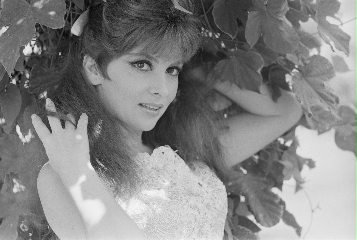 FAN_GoldenAge's tweet photo. Happy Birthday #GinaLollobrigida
#Hollywood #Lollo #Legend https://t.co/Grv6PUP68A