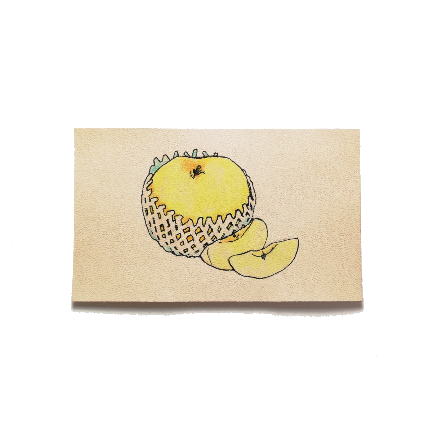 イラストレザーちょび 今日は 梨の日 です 7月4日の語呂合わせにちなみます 梨 の歴史は古く 日本では弥生時代ごろから食べられていたそうです 梨はリンゴに似ていますが 栄養素や旬の時期に違いがあります 梨には石細胞というものがあり これがあの