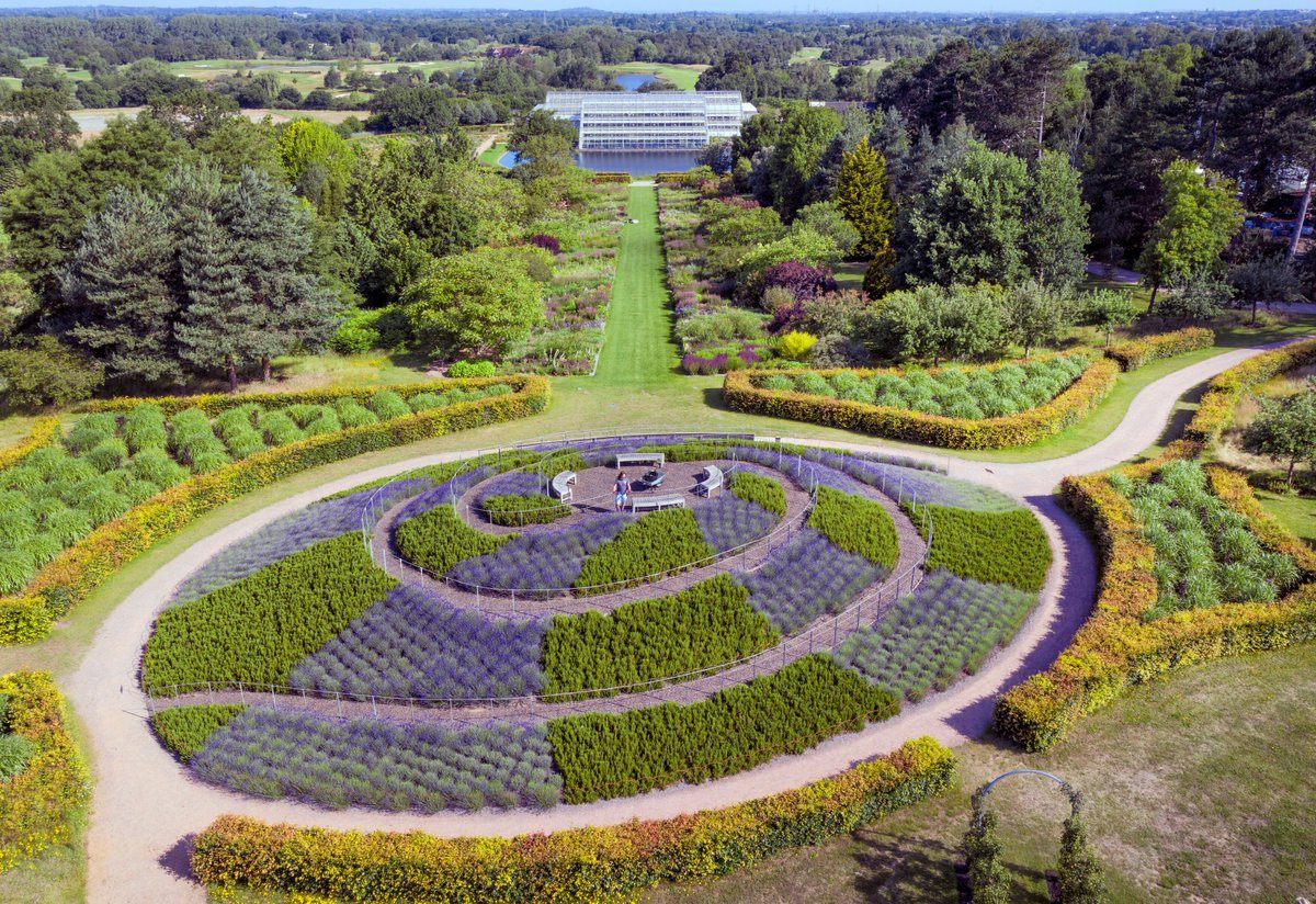 The fragrant Viewing Mount at @RHSWisley from a different view 🐦 Please be sure to book your time slot online before visiting! rhs.org.uk/gardens/wisley 📷 @bigladderdrone #SummerGardenDays