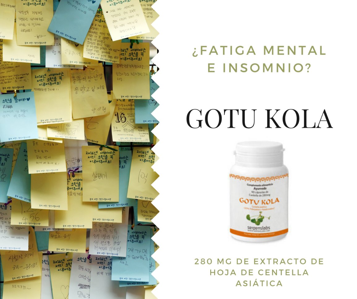 farmariba's tweet photo. Gotu Kola, un suplemento a base de Centella asiática ecológica para afrontar la #selectividad con éxito. Te ayudará a controlar la ansiedad, el insomnio y la fatiga mental. Lo encontrarás en https://t.co/5ggKw77HLc https://t.co/FK9fPiZgh6