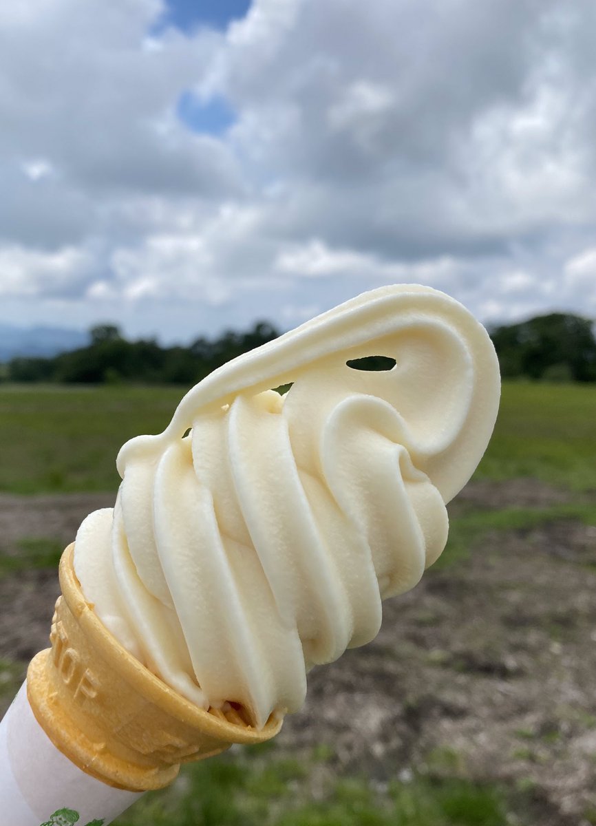 nakasagara's tweet photo. 久しぶりの八ヶ岳大橋&amp;清泉寮のソフトクリーム🍦
#山梨県
#清里
#八ヶ岳大橋
#清泉寮 https://t.co/7EM8BUv6N1