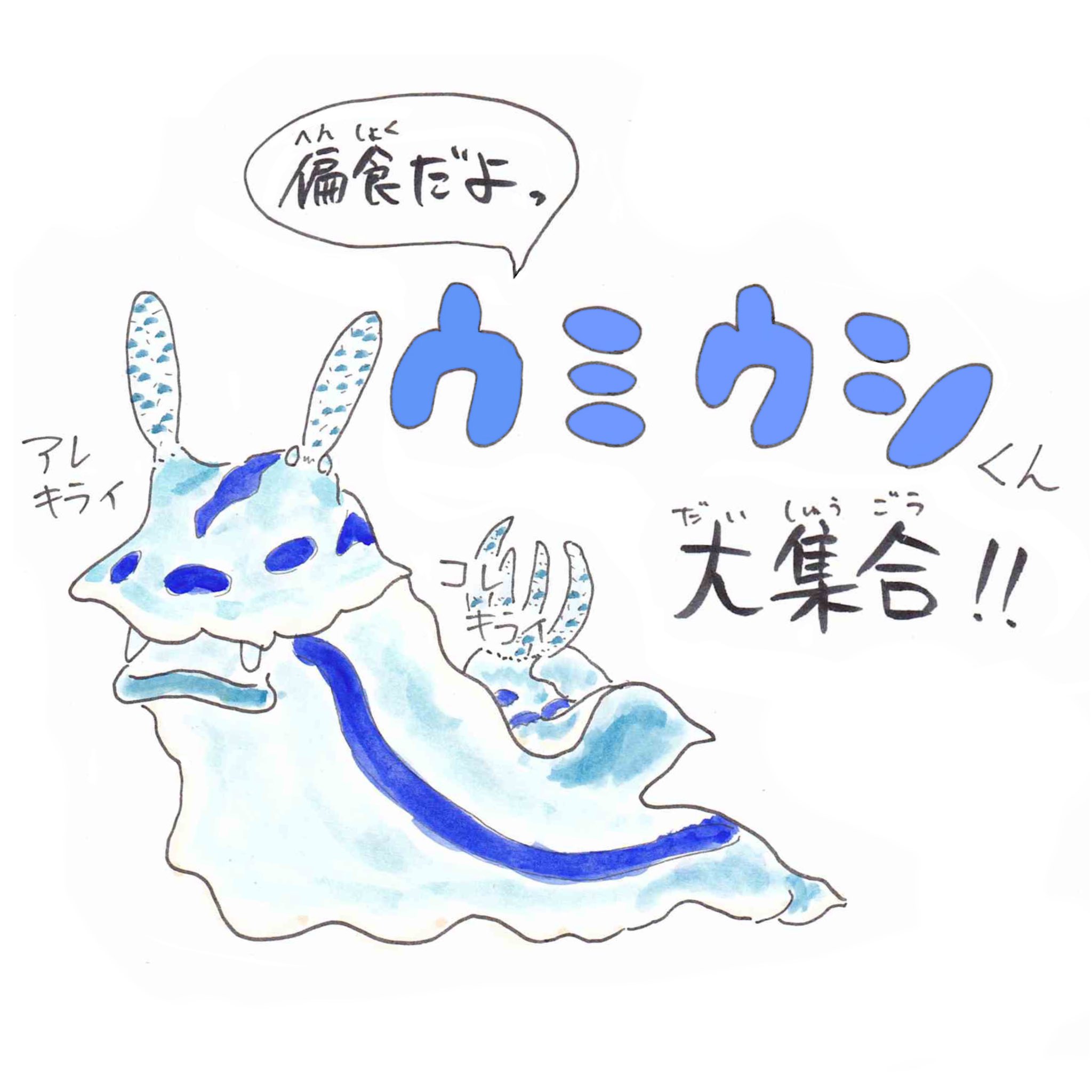 さかなのおにいさん かわちゃん あつ森のアプデでウミウシが捕まえられるようになったんだけど ウミウシは超偏食なんです 仲間食ウ T Co Mhuu5hqfor Twitter さかなのおにいさん かわちゃん あつ森のアプデでウミウシが捕まえられるようになったんだけど ウミウシは超偏食なんです 仲間食ウ T Co Mhuu5hqfor Twitter