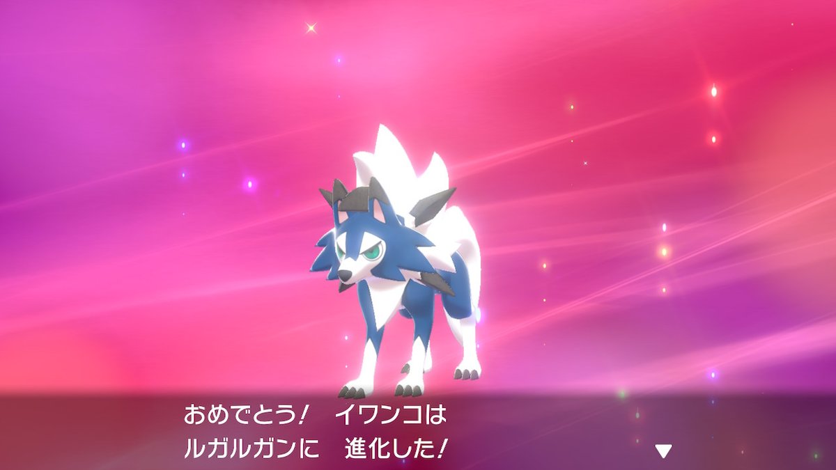 はいんちゅ つぶやき 色違い黄昏ルガルガンに進化です いい色違いだ ポケモン剣盾 Nintendoswitch