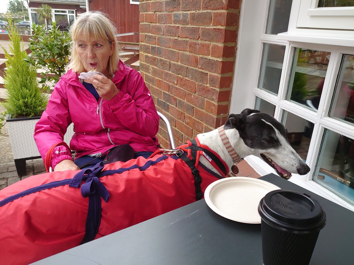 CaseyCanine's tweet photo. Early morning constitutional followed by panini @BottegaMontalb #normalityreturns @KentGreyhoundRe @TentChamber @TenterdenChamb1 @FayPrimaMedia @MontalbanoTN30 @DGEast1 https://t.co/Jj9tqnNTBz