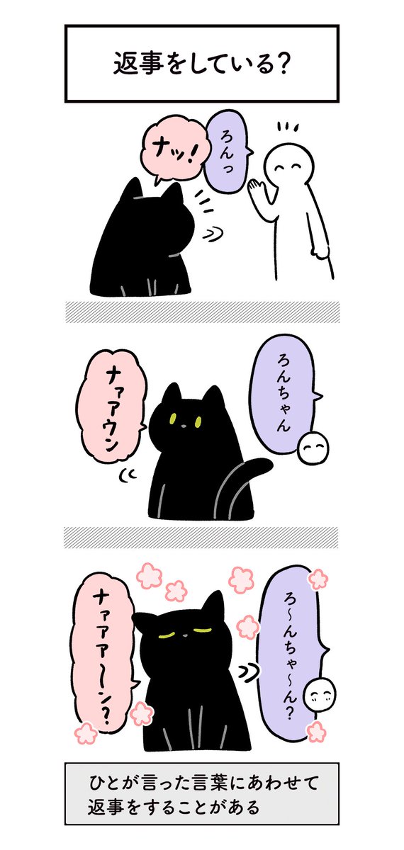 ねこと一緒に暮らしてると「今…我々の間で…何かが通じた…!⚡️」ってなる瞬間があって最高だね…っていう非言語コミュニケーションエンジョイ絵日記
#ろんの絵日記 