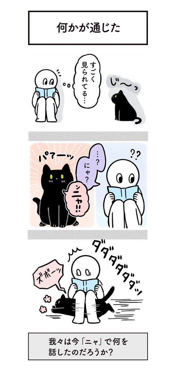 ねこと一緒に暮らしてると「今…我々の間で…何かが通じた…!⚡️」ってなる瞬間があって最高だね…っていう非言語コミュニケーションエンジョイ絵日記
#ろんの絵日記 