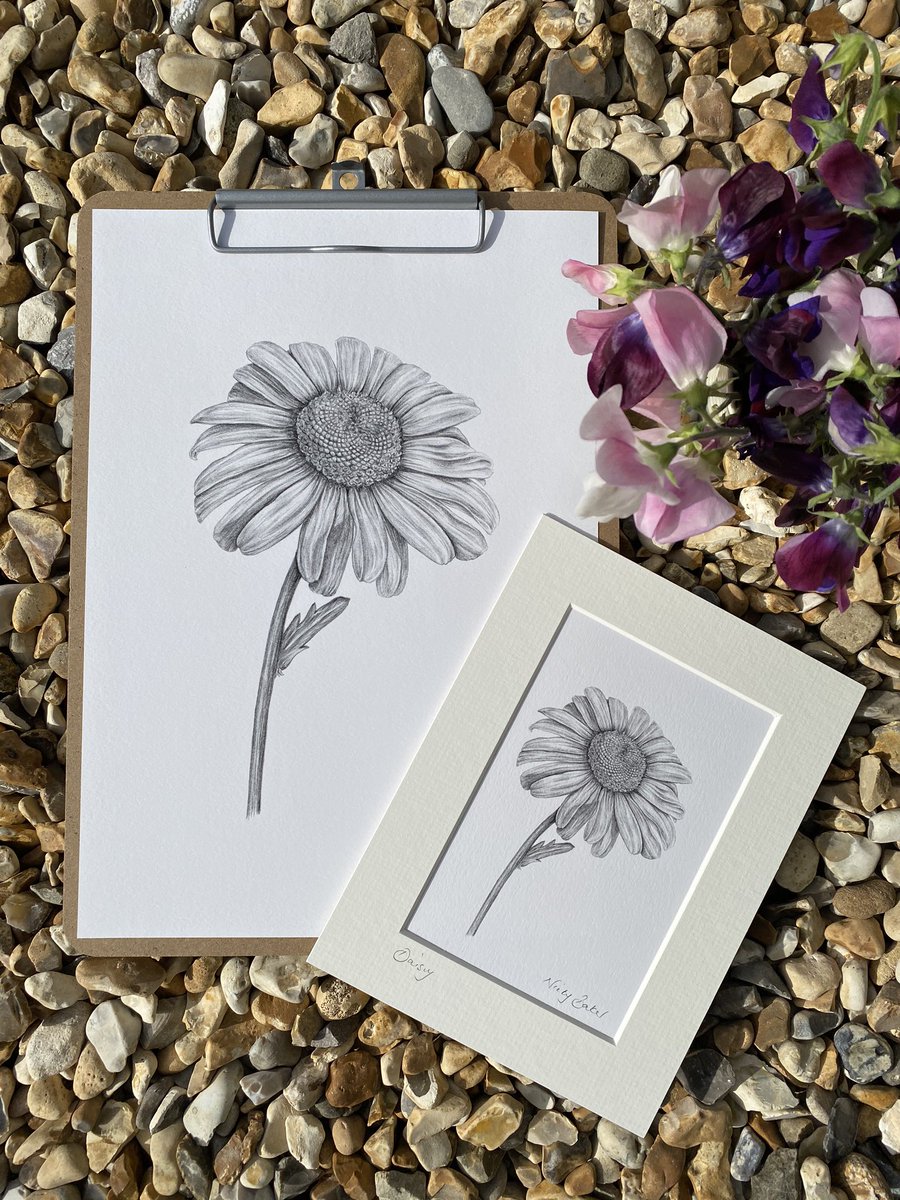 Now on Etsy! My daisy print is available in two sizes 🌿🌼 link in bio 👆🏼#supportsmallbusiness #artprint