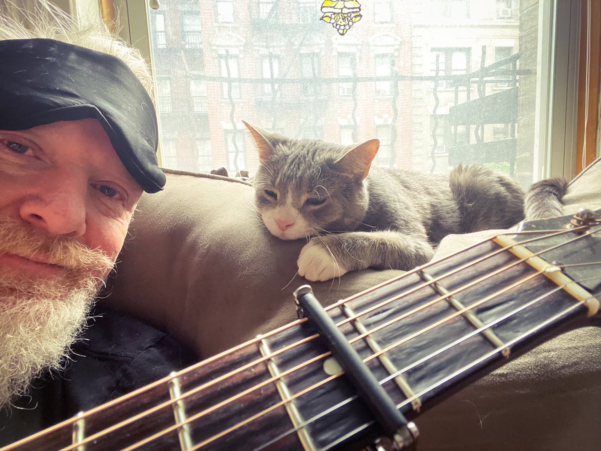 thechrisbarron's tweet photo. Happy #Caturday, all my cat freaks. https://t.co/frG5ef5CVQ