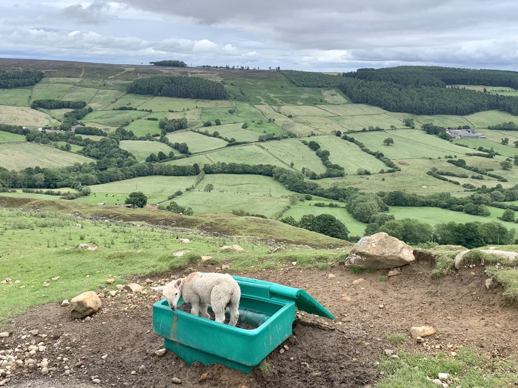 Extreme Motorhoming Adventures 💙💛 tweet media