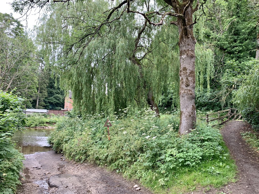 Extreme Motorhoming Adventures 💙💛 tweet media