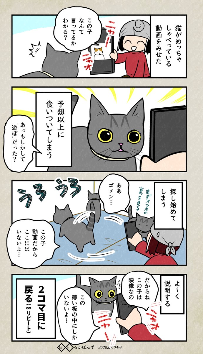 ヌコ日記。やっぱ猫語はヌコには分かるんだな～

#保護猫3兄妹 #猫のいる暮らし 