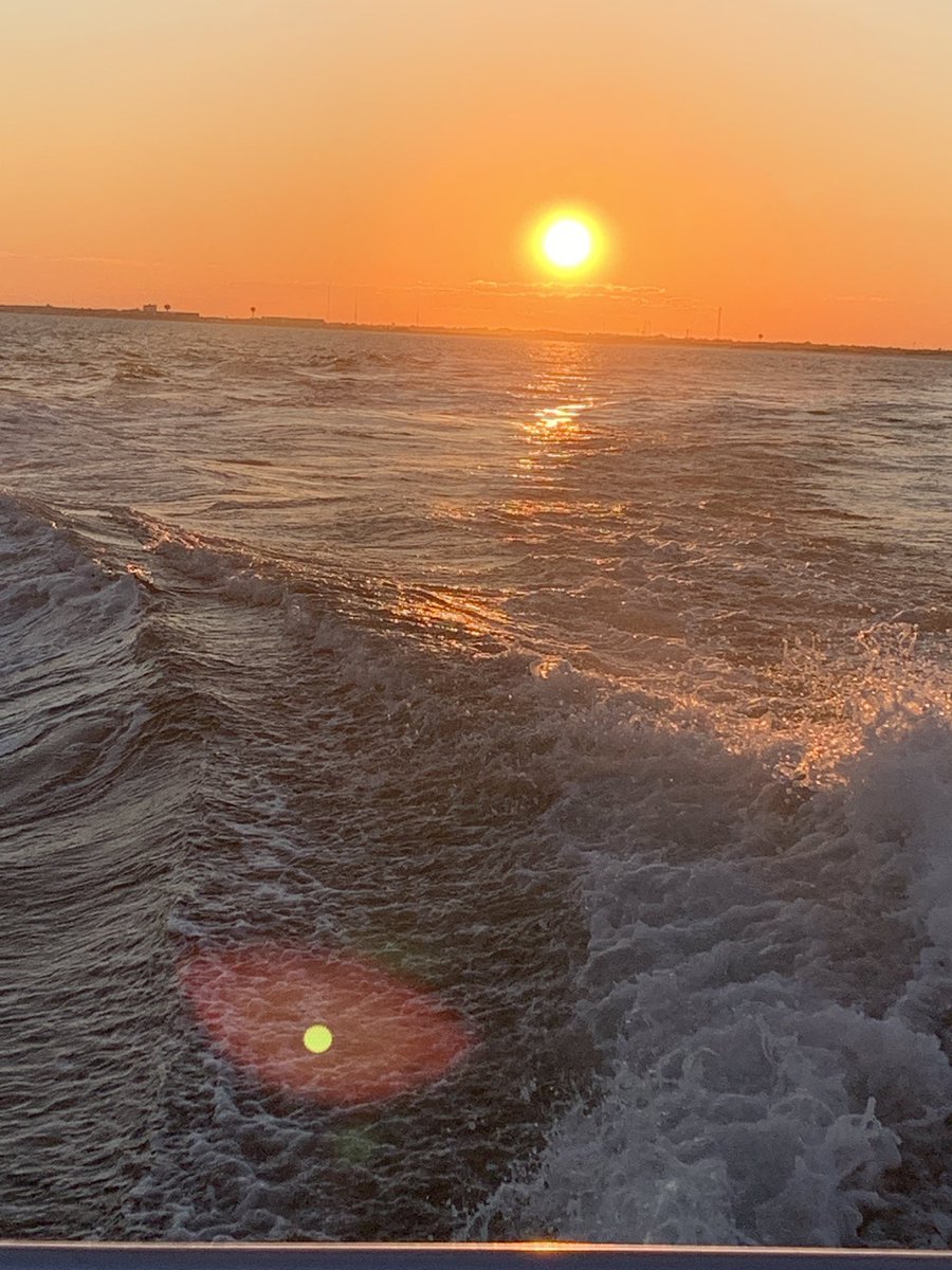 A_childers1246's tweet photo. Happy Independence Day Remember you get to openly bitch about your government cops other people’s opinion and you don’t disappear with your whole family You have the right to protest riot and burn there are a lot of places you can’t do that. It isn’t perfect but it’s pretty good https://t.co/RdHULtdtte