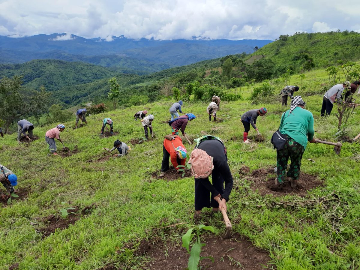 Churachandpur Forest tweet media