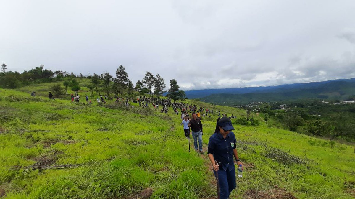 Churachandpur Forest tweet media