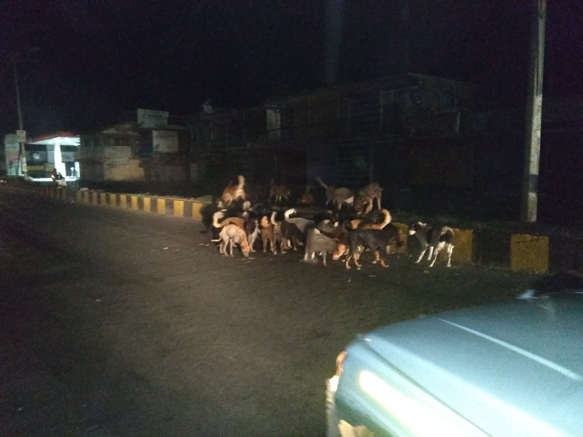 khanmool2's tweet photo. Where is Municipal committee sopore @Junaidbhatphoto https://t.co/jEdGjoFccK