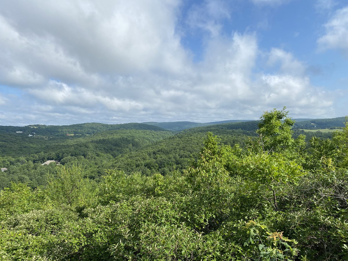 KRHornberger's tweet photo. Happy 4th! Early trail day again with my dad. 4.1 miles at @SteepRockAssoc Hidden Valley Preserve in Washington. Empty when we got there, getting busy when we left. Early start is a great way to dodge crowds on the weekend! @CTwoodlands #StaySafeOutdoors #CTTrailsLessTraveled https://t.co/1cPxH4sn4k